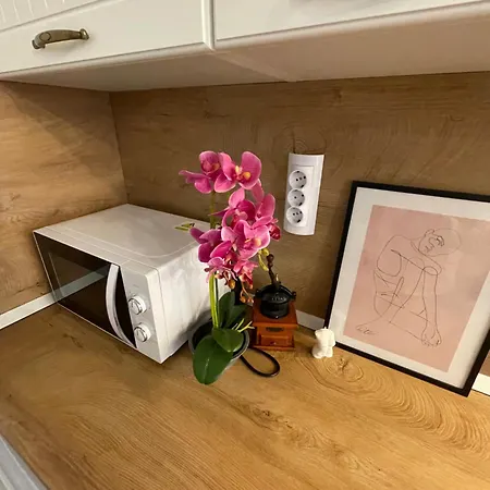 Quiet Comfort Walk Everywhere * 바르나