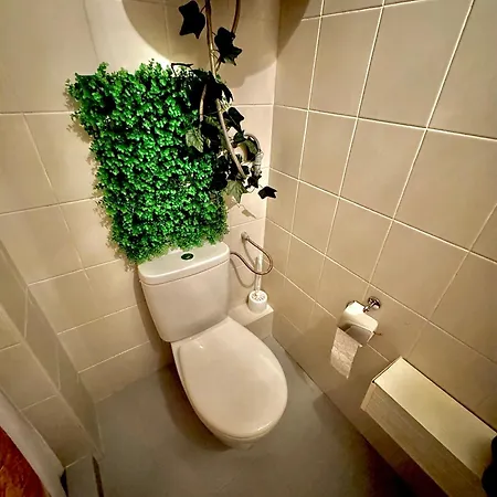 Quiet Comfort Walk Everywhere 바르나