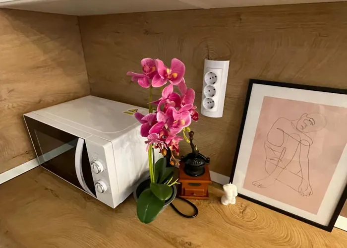 Quiet Comfort Walk Everywhere * ヴァルナ