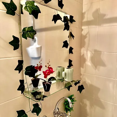 Quiet Comfort Walk Everywhere 瓦爾納